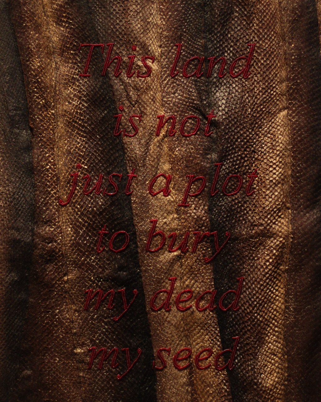 My Dead My Seed,&nbsp;2025