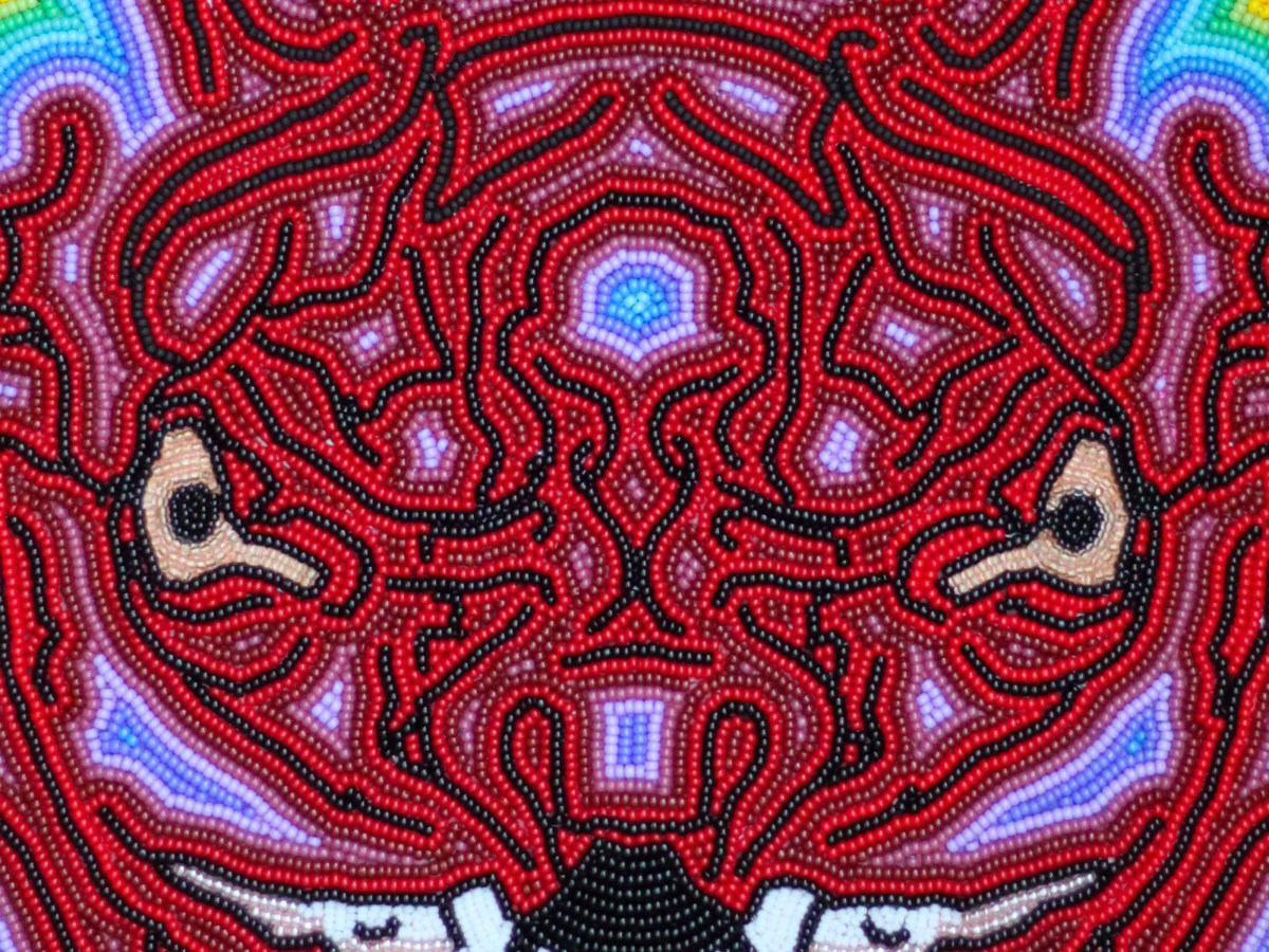 Centurio senex, 2026